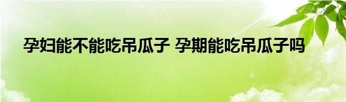 孕妇能不能吃吊瓜子 孕期能吃吊瓜子吗