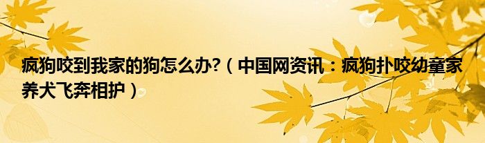 疯狗咬到我家的狗怎么办?（中国网资讯：疯狗扑咬幼童家养犬飞奔相护）