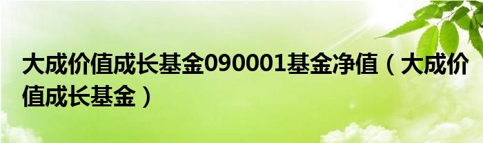 大成价值成长基金090001基金净值（大成价值成长基金）