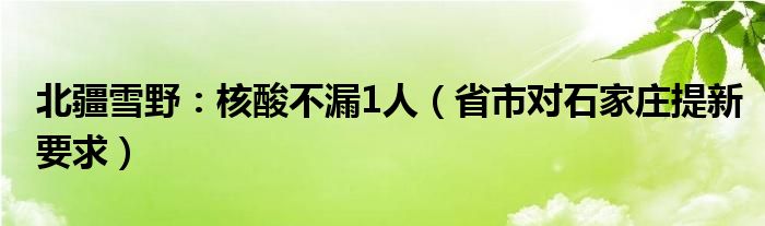 北疆雪野：核酸不漏1人（省市对石家庄提新要求）