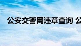 公安交警网违章查询 公安交警违章查询网