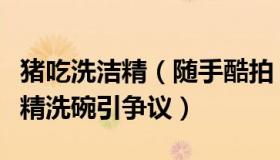 猪吃洗洁精（随手酷拍：女子用猪食充当洗洁精洗碗引争议）