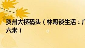 贺州大桥码头（林哥谈生活：广西贺州一大桥桥面坍塌约五六米）