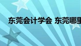 东莞会计学会 东莞哪里有学会计的学校）