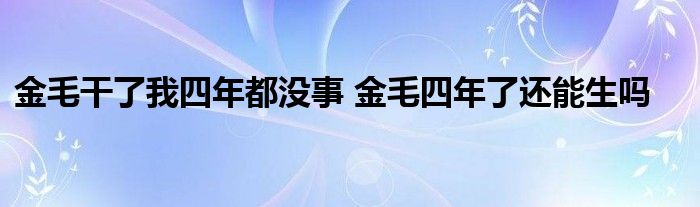 金毛干了我四年都没事 金毛四年了还能生吗