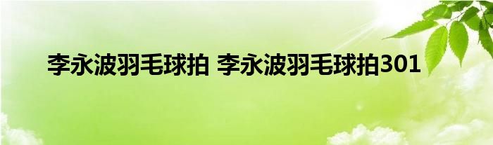 李永波羽毛球拍 李永波羽毛球拍301