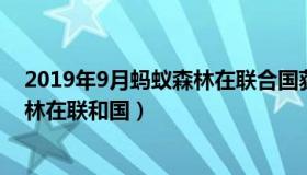 2019年9月蚂蚁森林在联合国获得了什么奖 2019年蚂蚁森林在联和国）