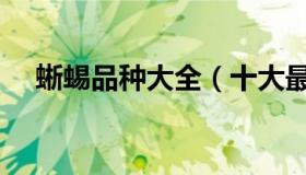 蜥蜴品种大全（十大最好养的宠物蜥蜴）