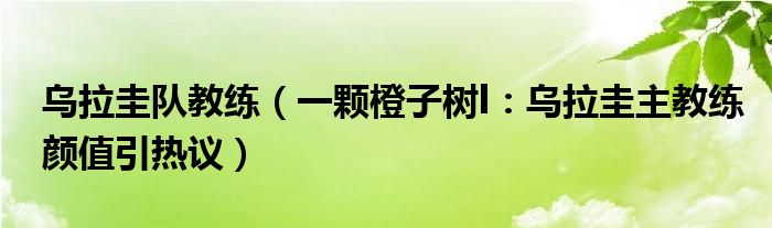 乌拉圭队教练（一颗橙子树l：乌拉圭主教练颜值引热议）