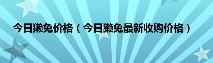 今日獭兔价格（今日獭兔最新收购价格）