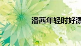 潘茜年轻时好漂亮（潘茜）