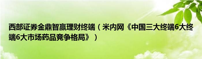 西部证券金鼎智赢理财终端（米内网《中国三大终端6大终端6大市场药品竞争格局》）