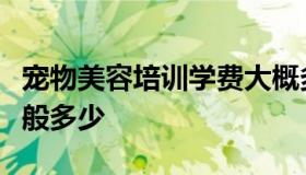 宠物美容培训学费大概多少钱（学美容学费一般多少