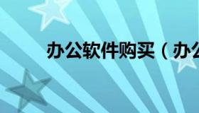 办公软件购买（办公软件购买网站