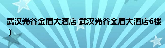 武汉光谷金盾大酒店 武汉光谷金盾大酒店6楼）