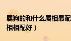 属狗的和什么属相最配 相克 属狗的和什么属相相配好）