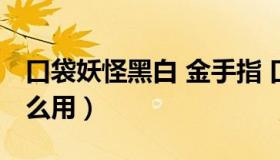 口袋妖怪黑白 金手指 口袋妖怪黑白金手指怎么用）