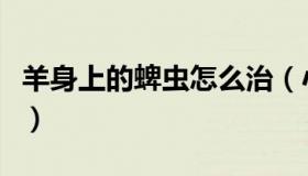 羊身上的蜱虫怎么治（小羊身上有蜱虫怎么治）