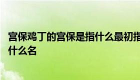 宫保鸡丁的宫保是指什么最初指什么 宫保鸡丁中的宫保是指什么名