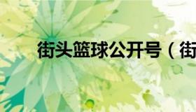 街头篮球公开号（街头篮球封号查询
