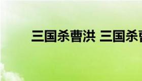 三国杀曹洪 三国杀曹洪的援护解析