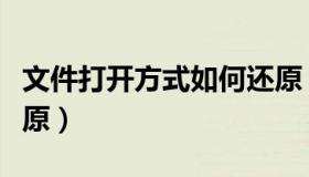 文件打开方式如何还原（文件打开方式怎么还原）