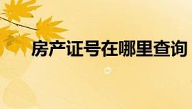 房产证号在哪里查询（房产证号查询）