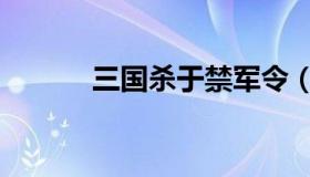 三国杀于禁军令（三国杀于禁）