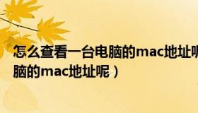 怎么查看一台电脑的mac地址呢苹果手机（怎么查看一台电脑的mac地址呢）