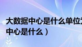 大数据中心是什么单位为什么要出差（大数据中心是什么）