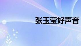张玉莹好声音（张玉莹）