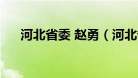 河北省委 赵勇（河北省委副书记赵勇）