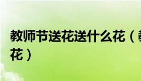 教师节送花送什么花（教师节送花应该送什么花）