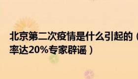 北京第二次疫情是什么引起的（静夜沉思录：北京二次感染率达20%专家辟谣）