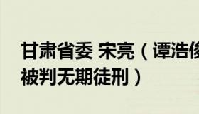 甘肃省委 宋亮（谭浩俊：甘肃原副省长宋亮被判无期徒刑）