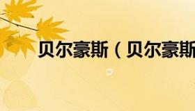 贝尔豪斯（贝尔豪斯 加盟阿贾克斯）