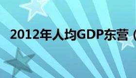 2012年人均GDP东营（2012年人均gdp）