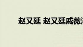 赵又延 赵又廷戚薇演的聋哑人电影