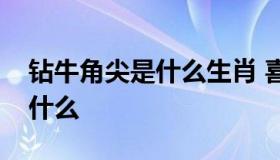 钻牛角尖是什么生肖 喜欢钻牛角尖的生肖是什么