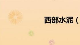 西部水泥（02233