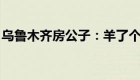 乌鲁木齐房公子：羊了个羊开发商成立新公司