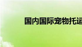 国内国际宠物托运公司（殷齐）