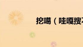 挖噶（哇嘎搜不到东西）