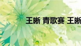 王晰 青歌赛 王晰青歌赛歌曲）