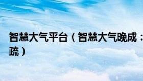 智慧大气平台（智慧大气晚成：大妈做煎饼果子10年手法生疏）