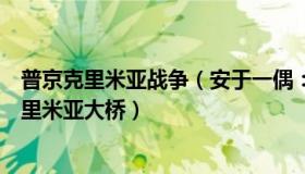 普京克里米亚战争（安于一偶：克宫回应普京开奔驰视察克里米亚大桥）