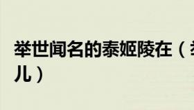 举世闻名的泰姬陵在（举世闻名的泰姬陵在哪儿）