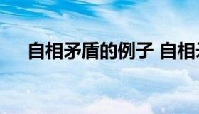 自相矛盾的例子 自相矛盾的例子100字