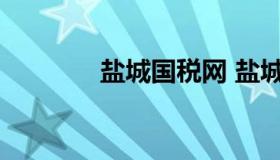 盐城国税网 盐城国家税务局