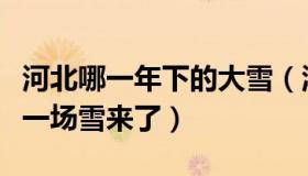 河北哪一年下的大雪（津门小市民：河北的第一场雪来了）